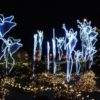 Lights-of-Christmas-Festival_Stanwood-WA-e1481776997709