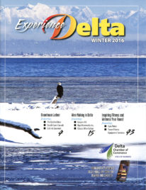 2016 experience delta cover