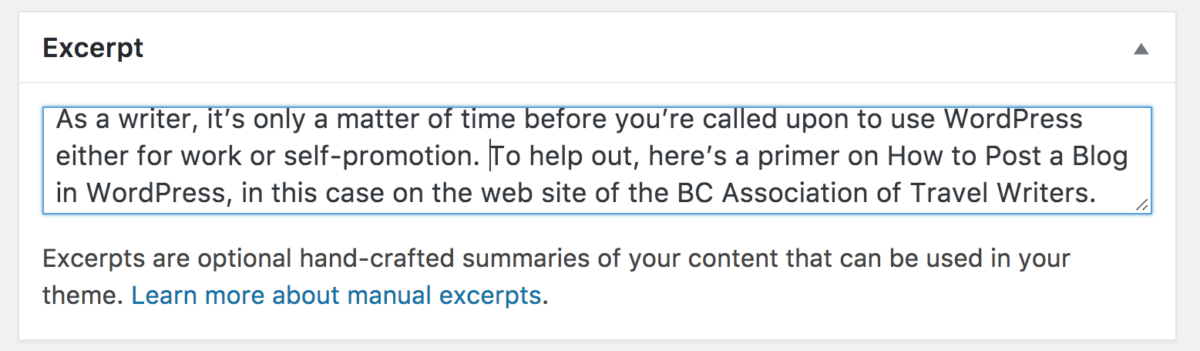 wordpress excerpt