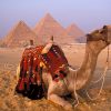 Bestway Tours Egypt blog